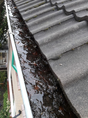 Dakonderhoud plat dak